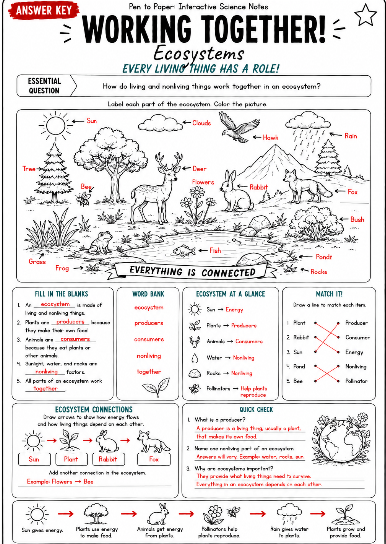 Interactive Science Notes Ecosystems