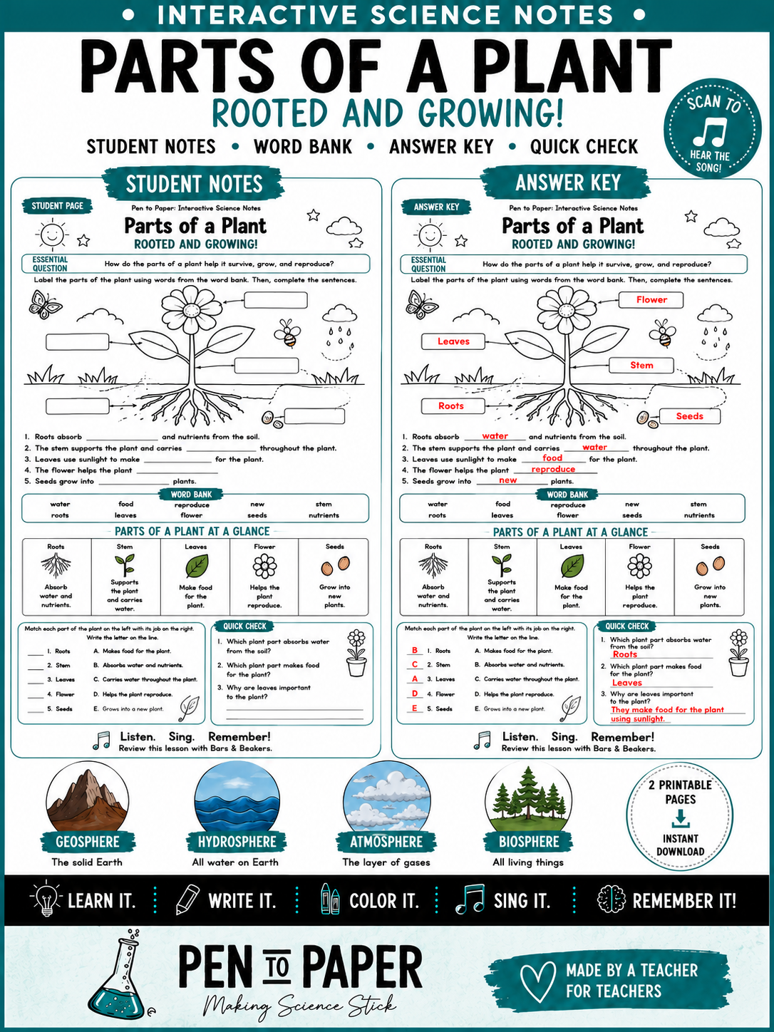 Interactive Science Notes Parts of a Plant