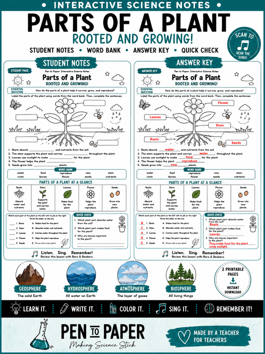 Interactive Science Notes Parts of a Plant