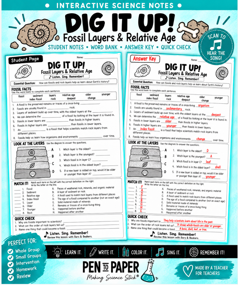 Interactive Science Notebook Fossil Layers