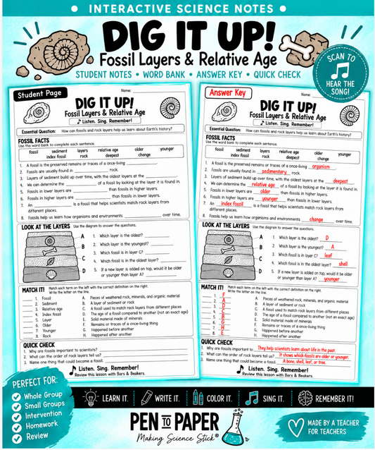 Interactive Science Notebook Fossil Layers