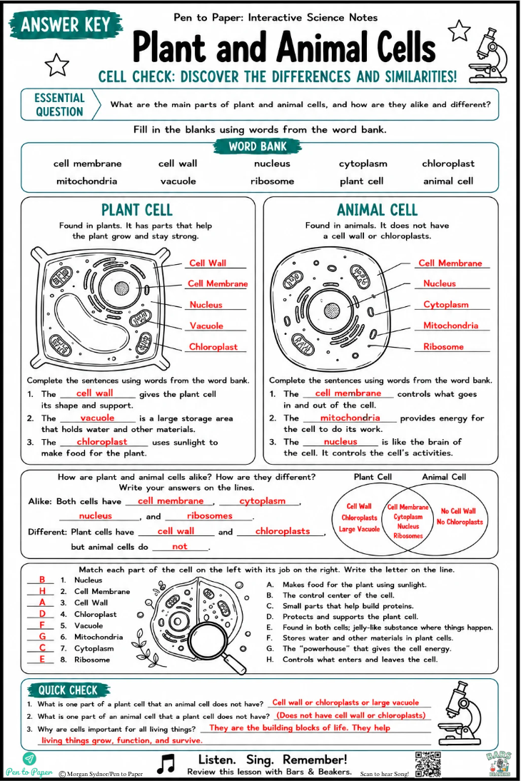 Interactive Science Notes Plant and Animal Cells