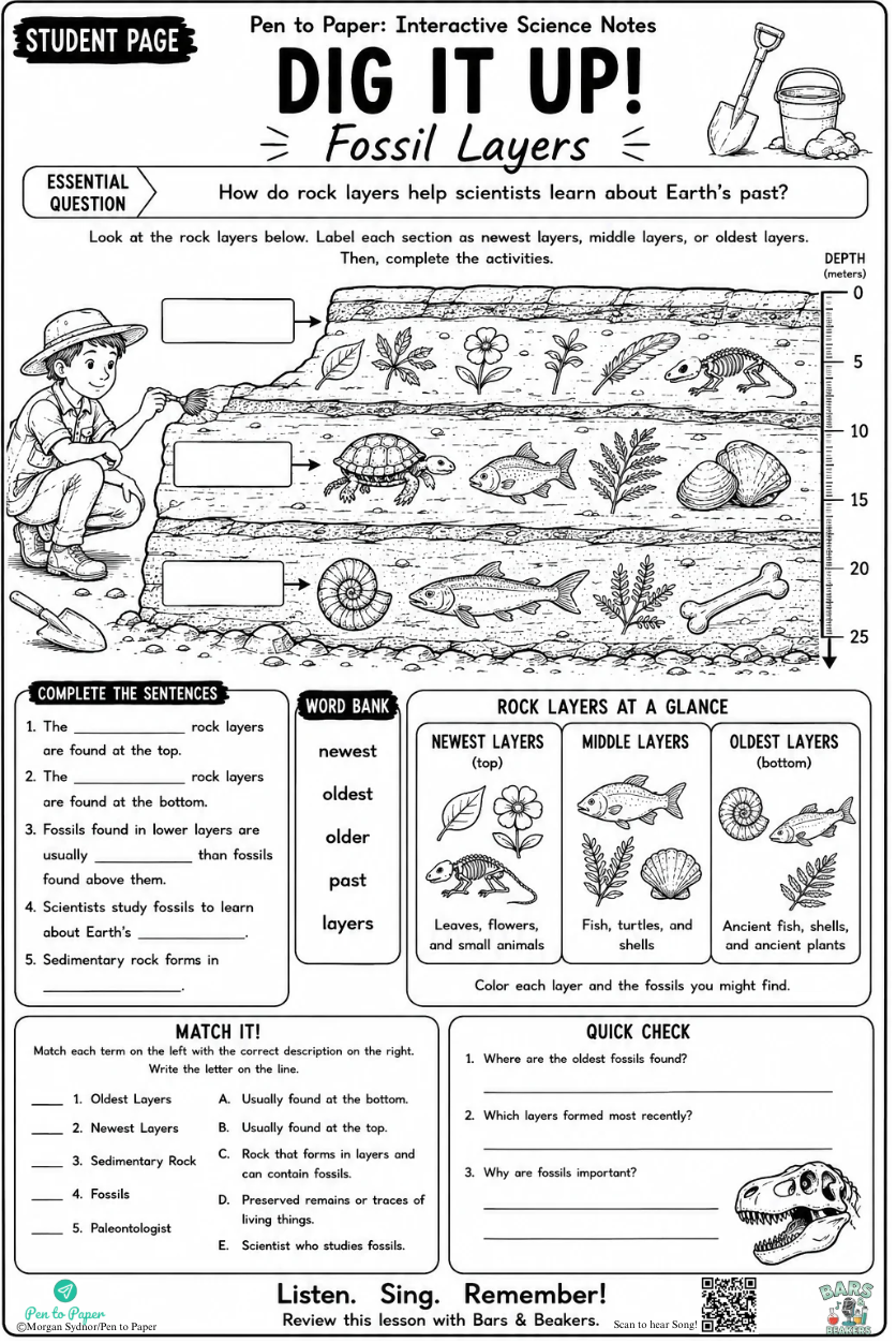 Interactive Science Notebook Fossil Layers