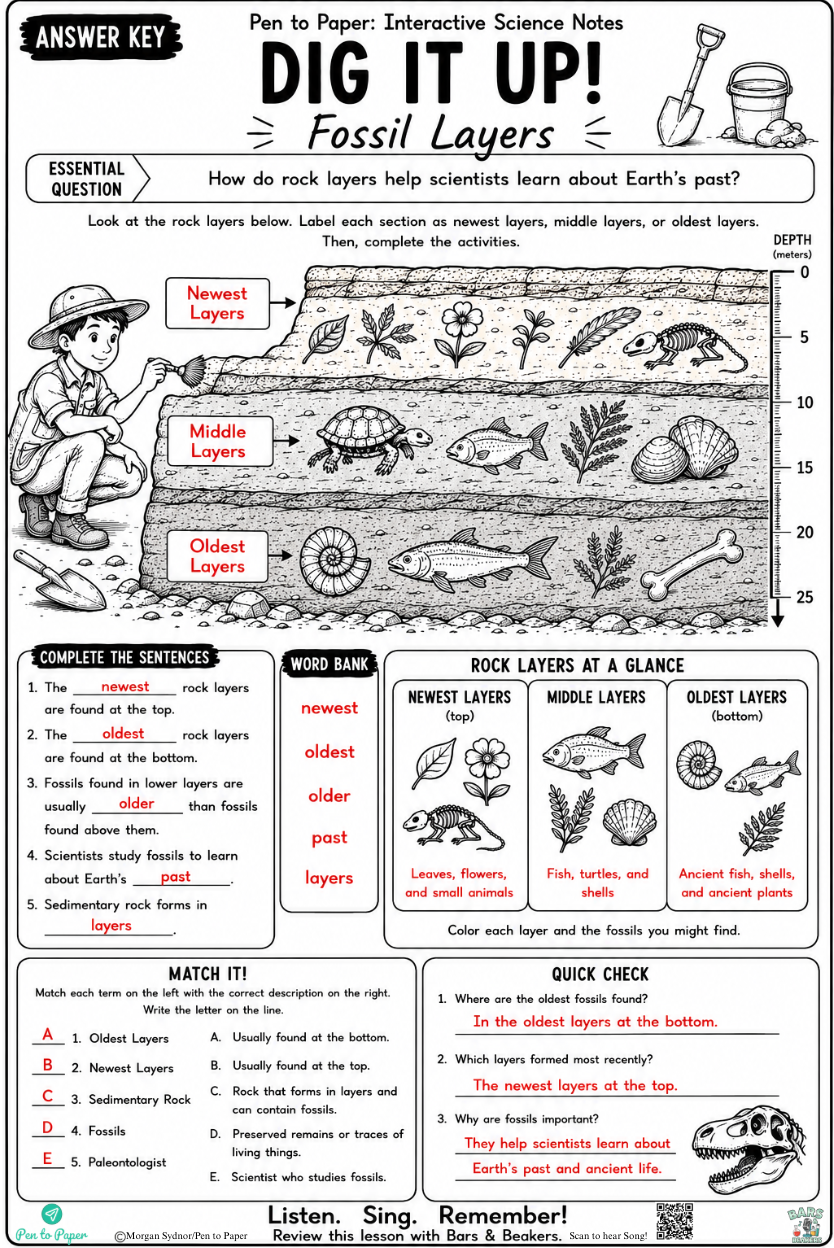 Interactive Science Notebook Fossil Layers